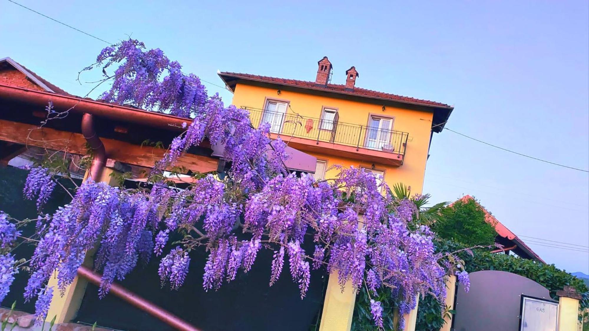 B&B Villa S Anna Hospitality Solutions Arquata Scrivia Eksteriør bilde